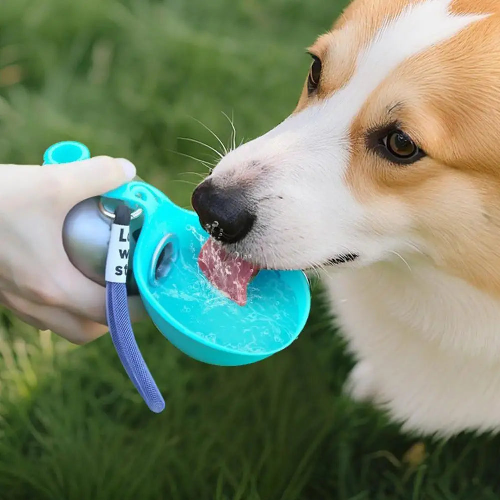 Travel Dog Water Container Portable Dog Water Bottle with Foldable Silicone Bowl Leak-Proof Stainless Steel Pet for Travel